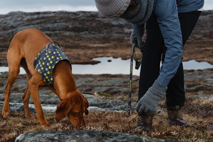 Hurtta Go Harness - Hondenharnas - Storm Grey - Borstomvang: 80-100 cm