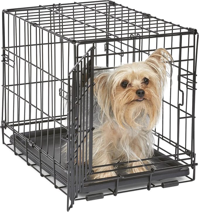 Hondenbox met Deur, 46 cm Lang, Geschikt voor Zeer Kleine Honden