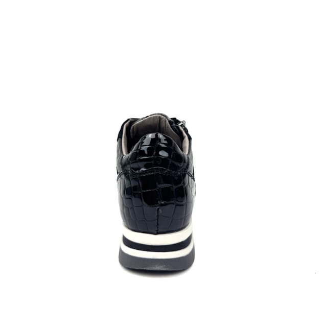 DL Sport 6725