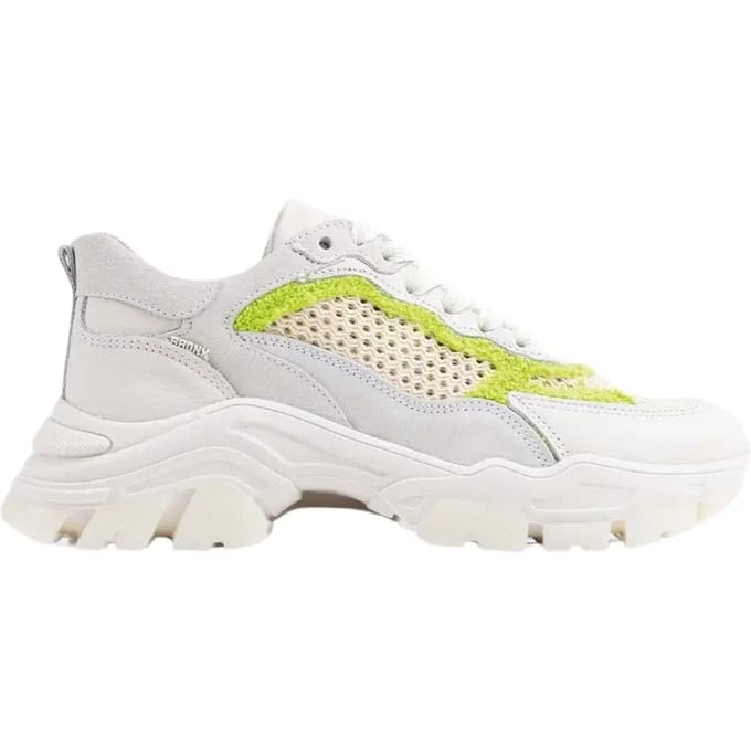 Sneakers Bronx