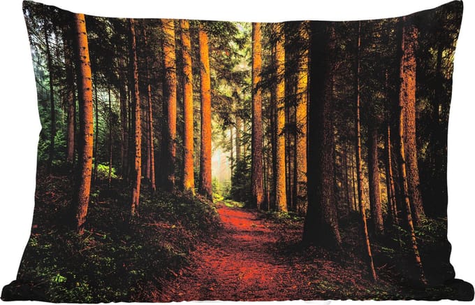 Buitenkussens - Tuin - Bos - Natuur - Bomen - Landschap - Bladeren - 50x30 cm