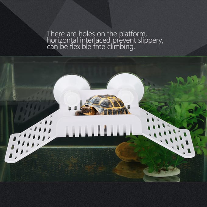 Aquarium Tank Reptiel Schildpad Klimmen Zonnen Terras Drijvend Platform Dok white