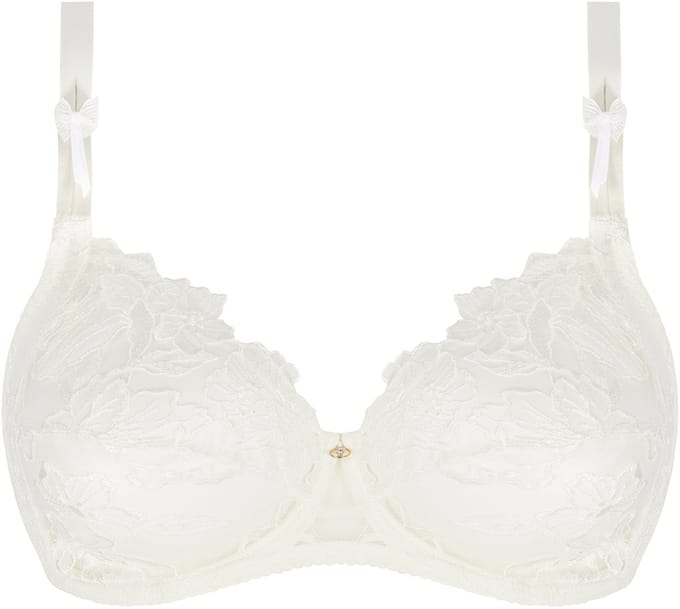 Lise Charmel-sublime organza-ACJ6182-85/100D