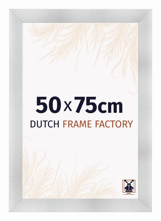 Fotolijst 50x75 cm - MDF - Aluminium Geborsteld - Praag