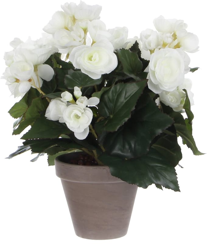 Kunstplant mica begonia wit in pot stan grijs | 6 stuks