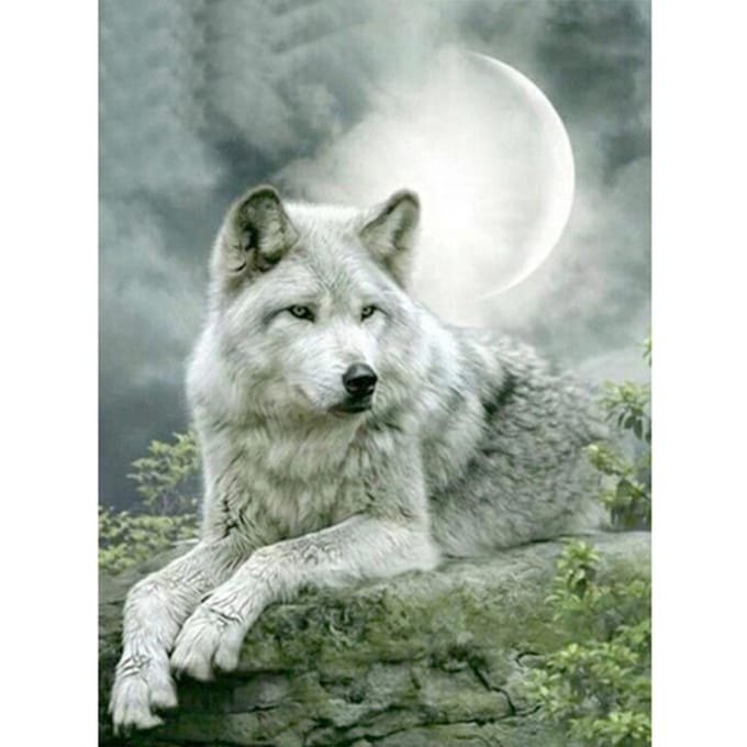 Volledige diamant borduurwerk dier  Wolf  5D Diamond schilderij kruissteek 20X30 gray