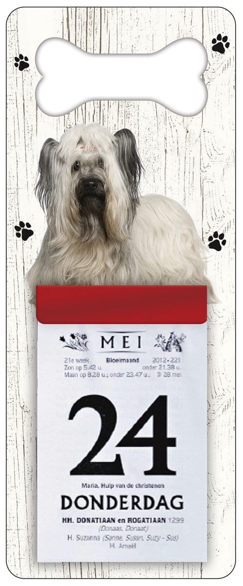 Scheurkalender 2027 Hond: Skye Terriër