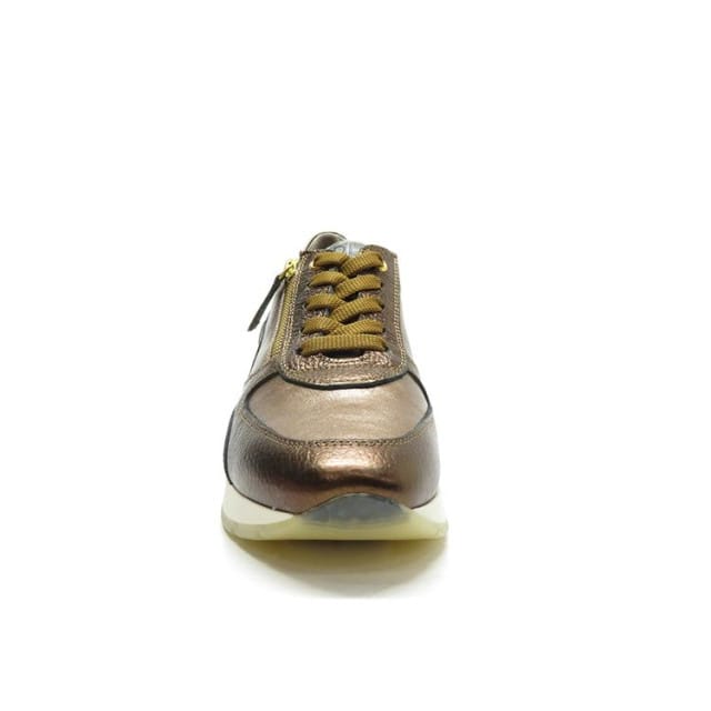 DL Sport 6337
