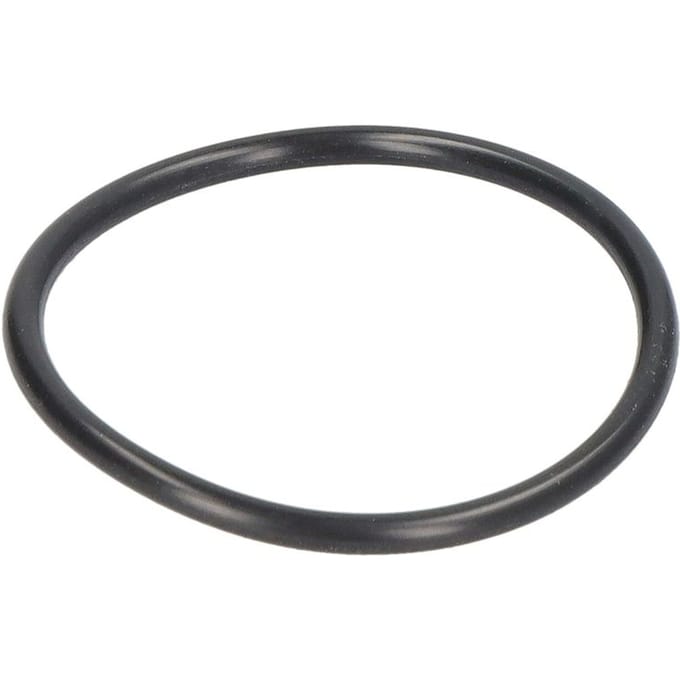 Versnellingsbak O-ring ZF 0734 300 390