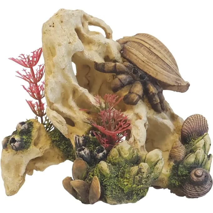 Aquarium decoratie Nobby Pet Muschel Auf Stein