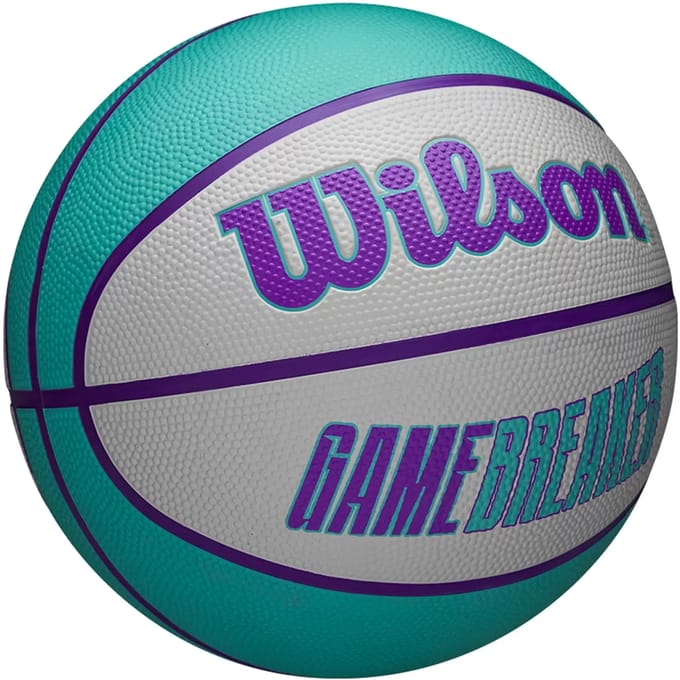 Basketbal Wilson Gamebreaker New