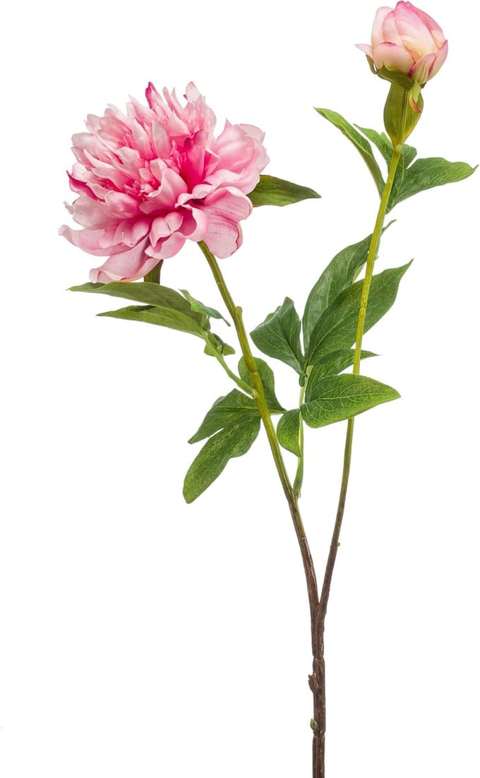 Emerald - Kunstbloem Pioenroos Sarah 73cm roze - Kunstplant voor binnen