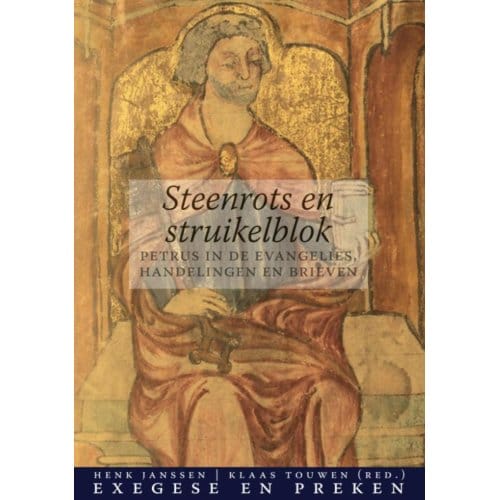Steenrots En Struikelblok - Henk Janssen