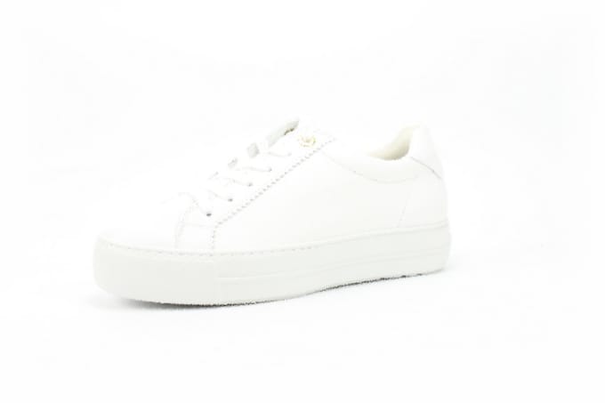 Paul Green 5241-005