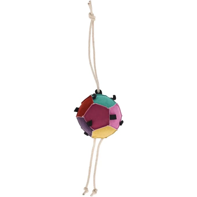 QHP - Paardenspeelgoed Bal - Multicolor