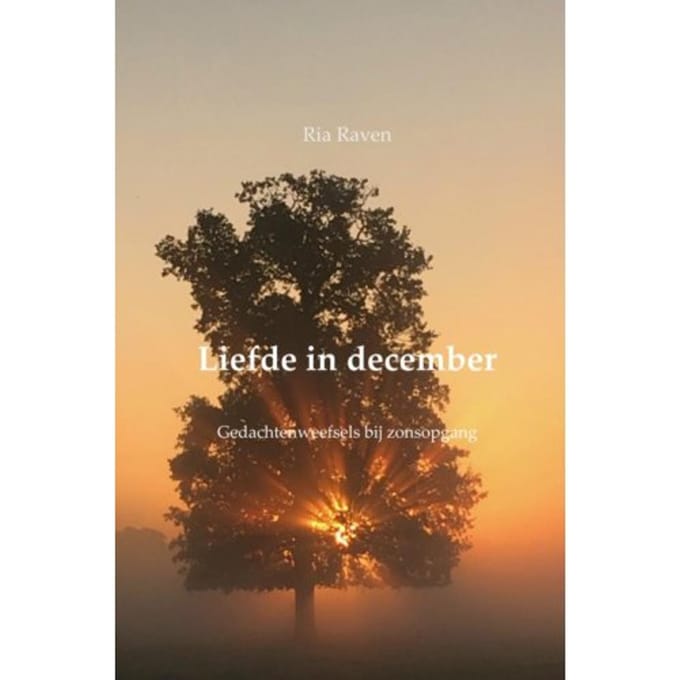 Liefde In December - Ria Raven
