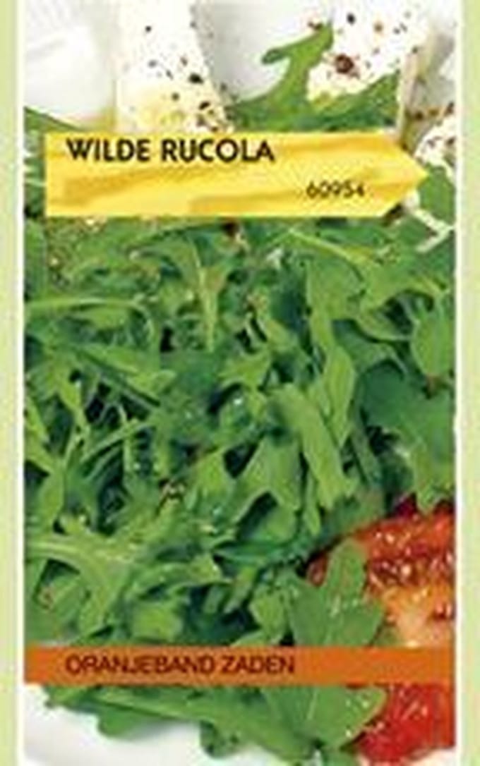 Wilde Rucola Diplotaxis