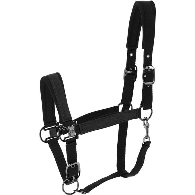 Halster voor paarden Equithème Glowy