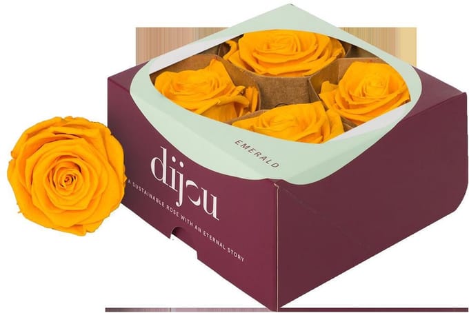 4x Dc pres.rozen gold yellow