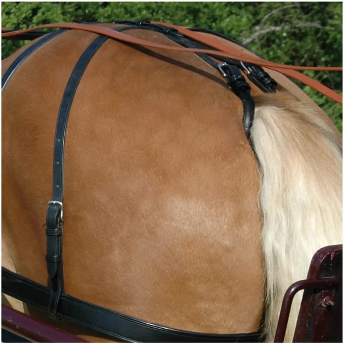 Tuig voor paarden Chetak