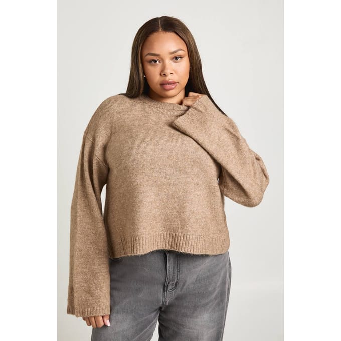 boohoo Dames PLUS RONDE HALS TRUI | Hazelnut | Maat: 24