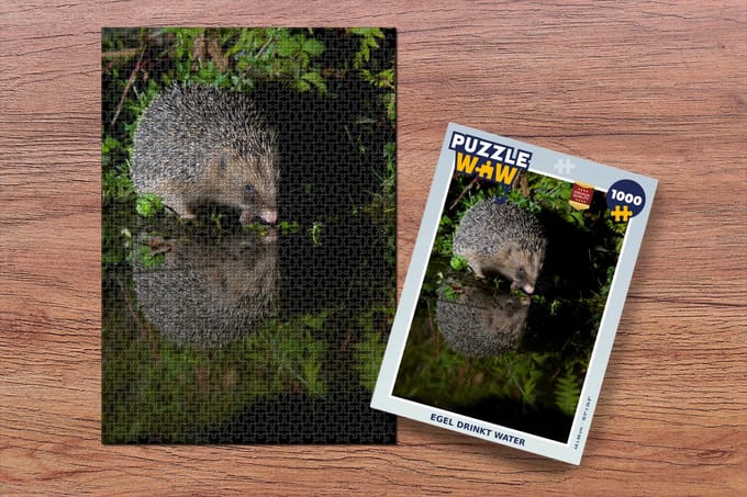 Puzzel Egel drinkt water - Legpuzzel - Puzzel 1000 stukjes volwassenen