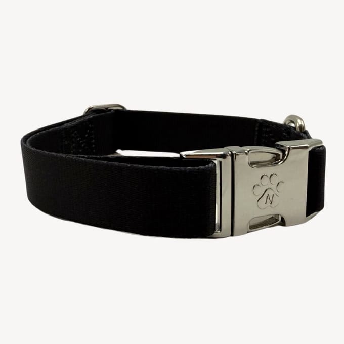 Solid - Zwart - Halsband Hond - S- 28 / 40 cm