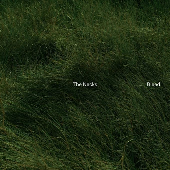 Bleed - Necks