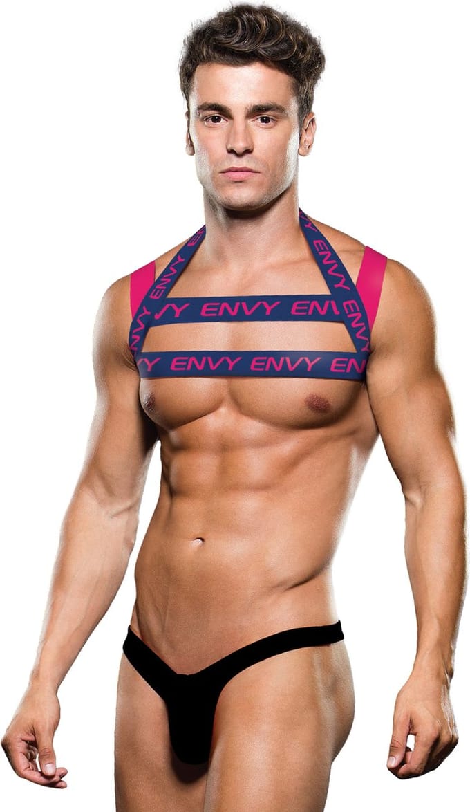 ENVY LOGO HARNESS BLUE PINK, S/M