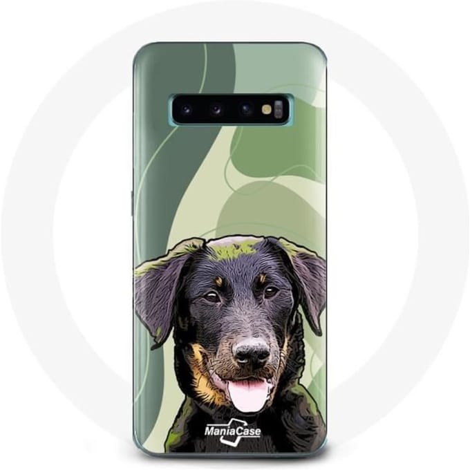 Hoesje voor Samsung Galaxy S10 Plus Kwetsbare inheemse rassen