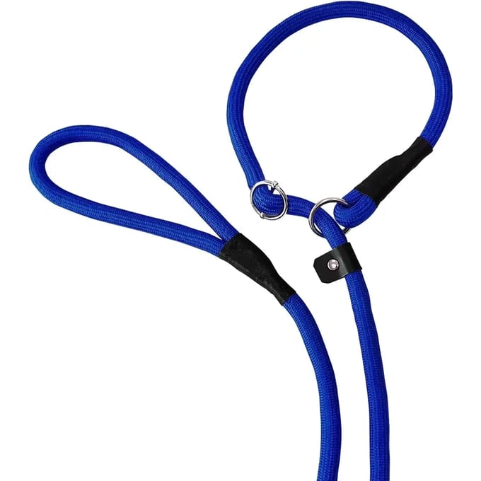 Hondenriem voor retriever Nobby Pet Fun Uni