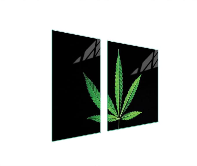 TMK ArtDeko - Beschermplaat van Glas - 90x52 cm - Bladmotief - Hittebestendig