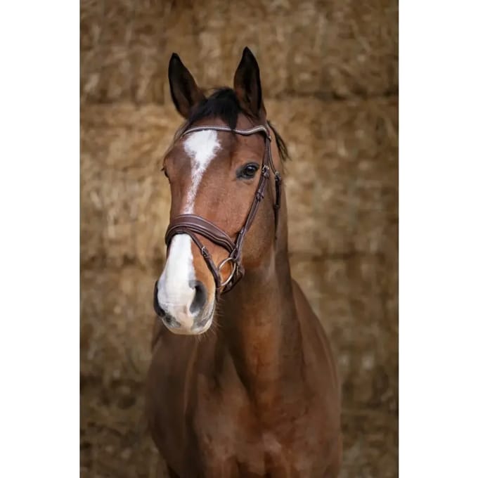 Hoofdstellen Norton Pro Miss