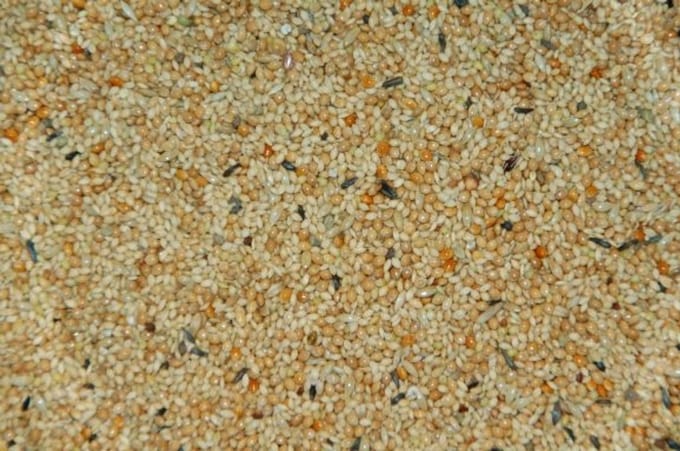 Wielink Tropenzaad 20 kg