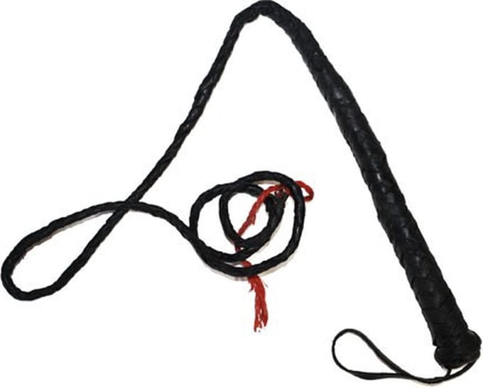 Zweep - kostuum accessoire