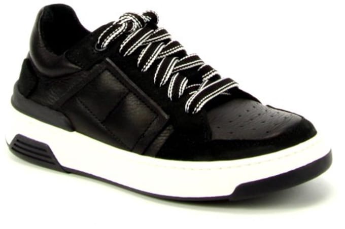 Bellamy Bond 589