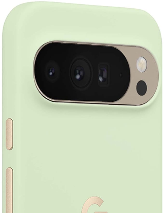 Google Pixelsnap mobiele telefoon behuizingen 17,3 cm (6.8) Hoes Groen