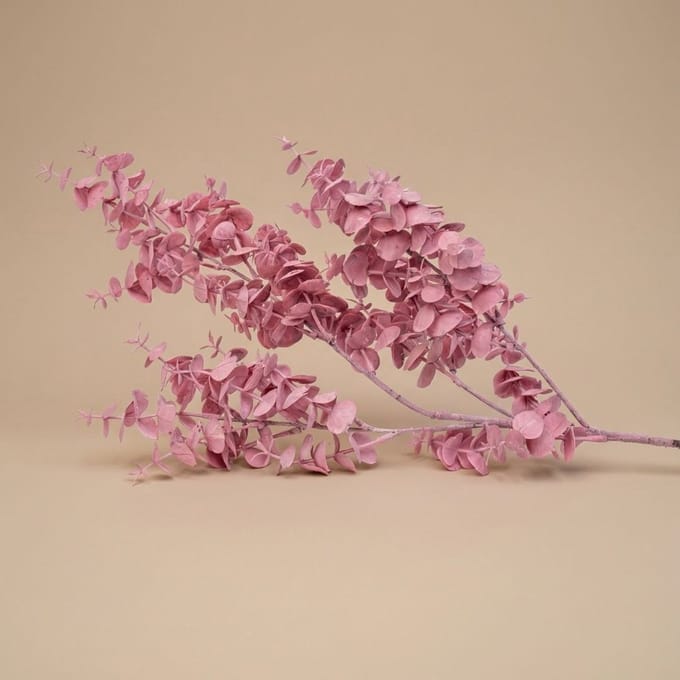 Decoratieve kunst Eucalyptus tak - 1 steel - ↑ 83 cm