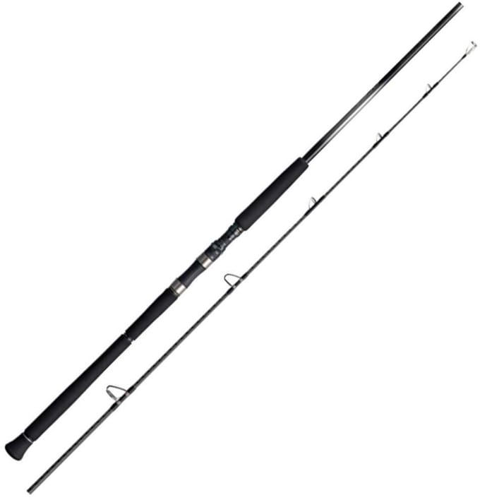 Shimano Fishing 25ocea Plugger Limited Spinhengel Zilver 2.49 m / 200 g