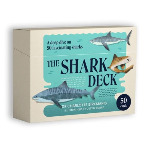 The Shark Deck - Charlotte Birkmanis