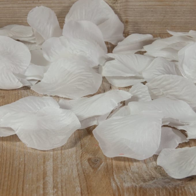 Witte rozenblaadjes