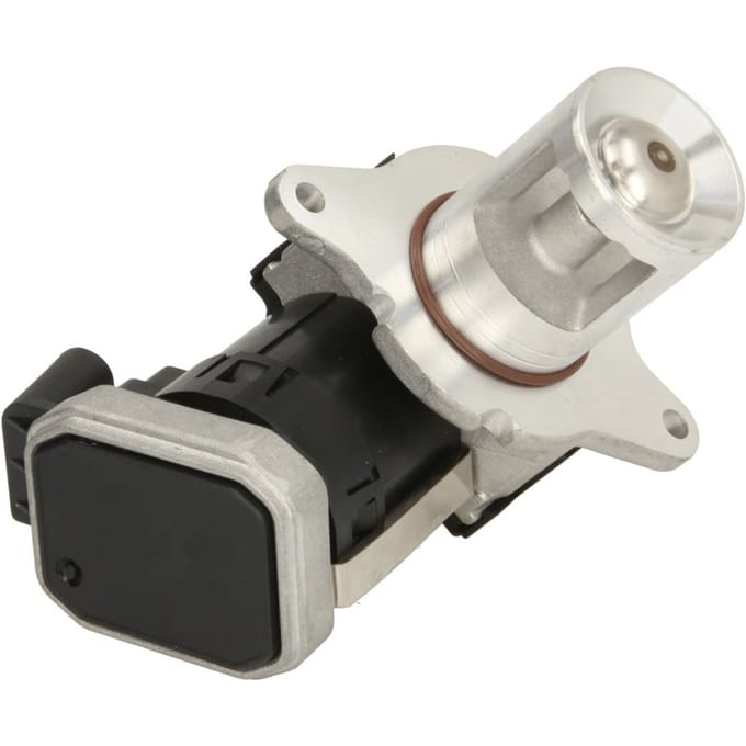 EGR-klep DELPHI EG10487-12B1