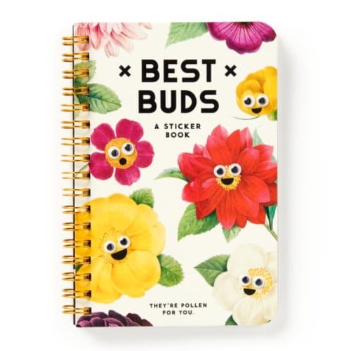 Best Buds Googly Sticker Book - A Brass Monkey Sticker Book - Brass Monkey