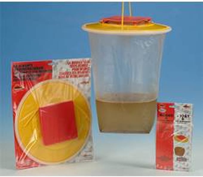 Amos Redtop vliegenval XL