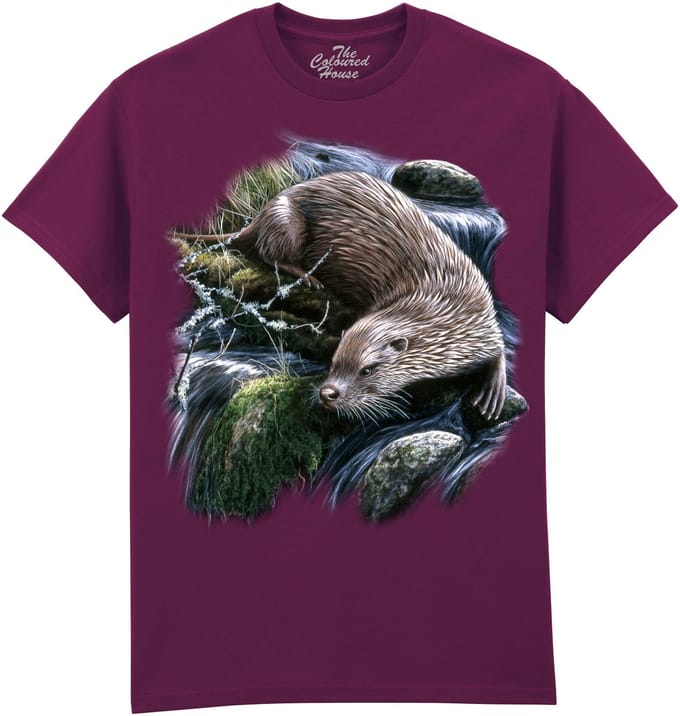 Exploring Otter The Coloured House T-shirt M