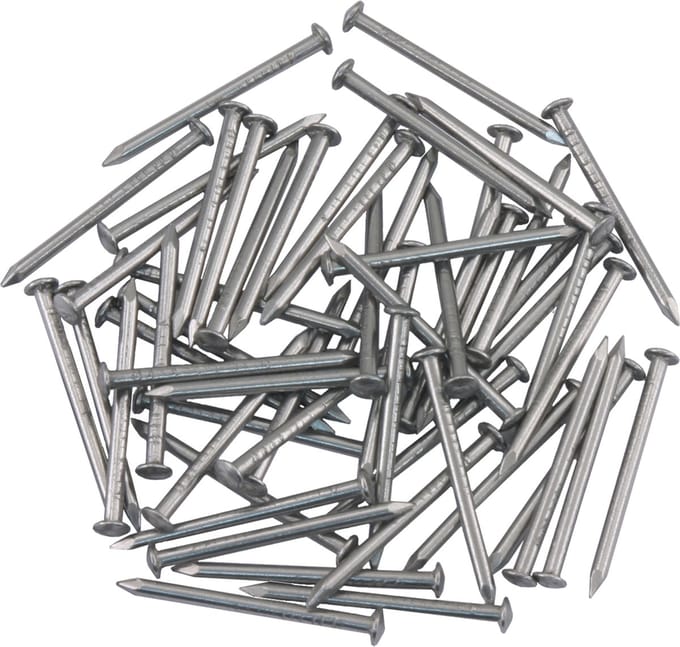 Ellen Tochtstripnagel RVS 25 x 1.6 (55)