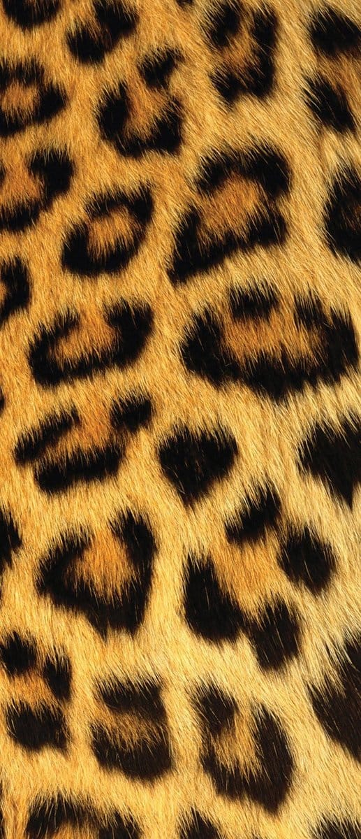 Leopard Photo Wallcovering
