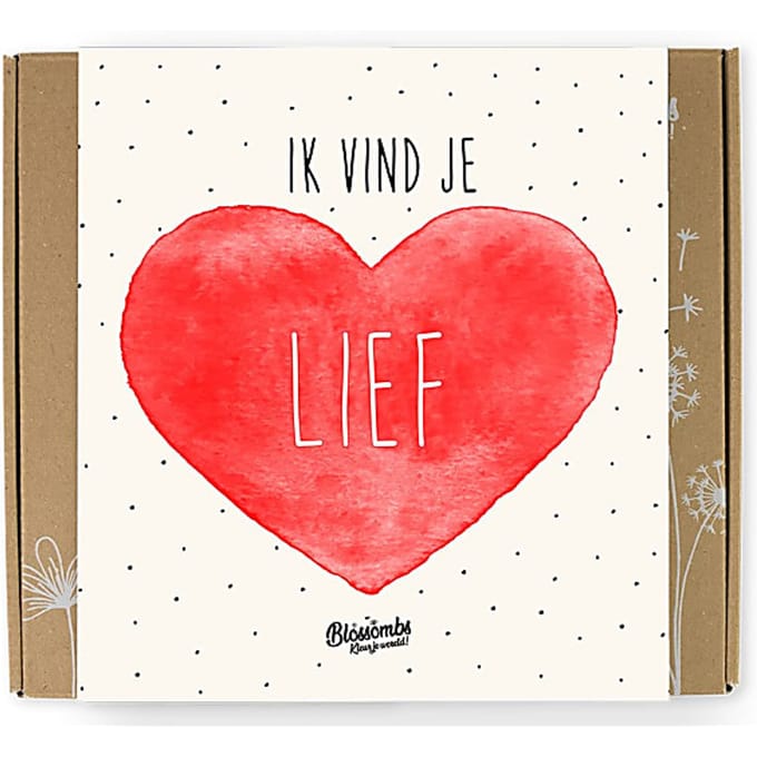 Blossombs Bloembommetjes Giftbox Medium - 9 Zaadbommetjes - Ik Vind Je Lief