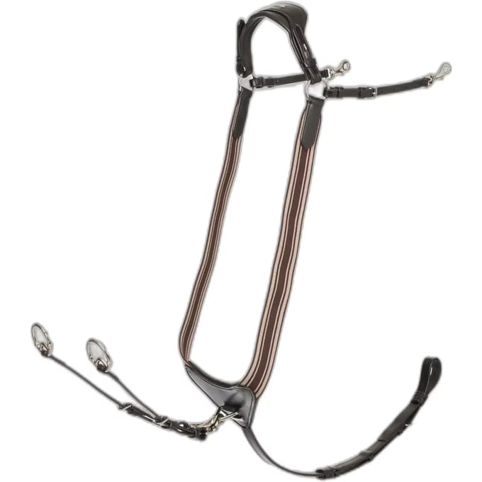 Lemieux Borsttuig Lemieux Arika Elasticated Bruin-zilver