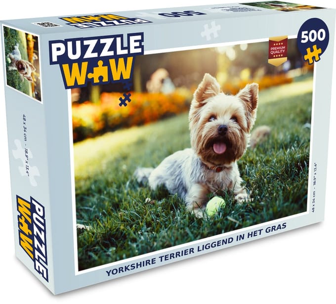 Puzzel Yorkshire Terrier liggend in het gras - Legpuzzel - Puzzel 500 stukjes